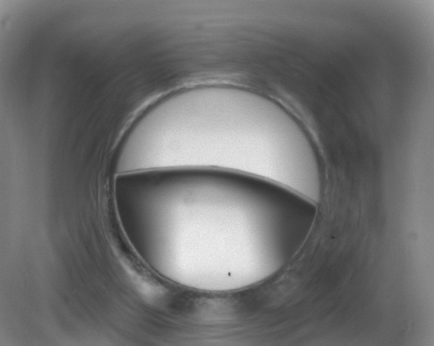X0000083020107200702020951