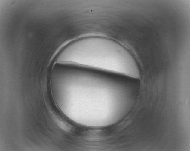 X0000083020108200702020951