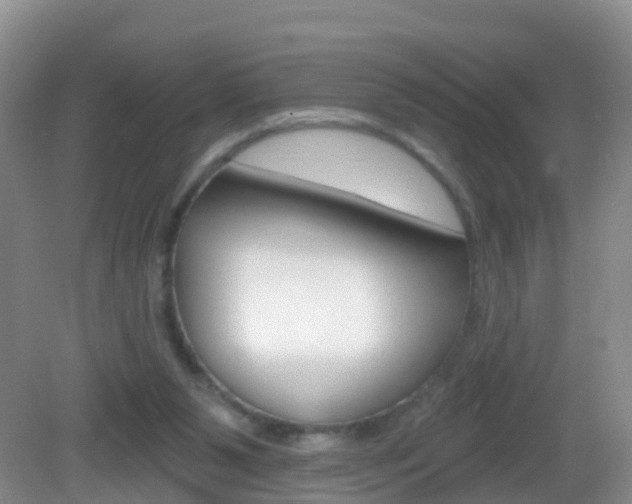 X0000083020111200702020951