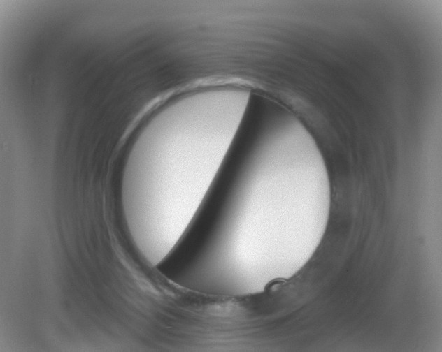 X0000083020112200702020951