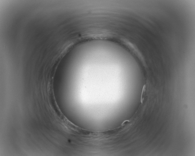 X0000083020113200702020951