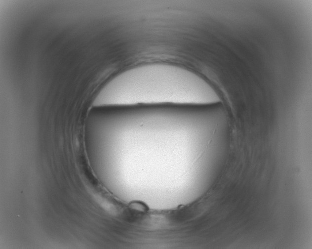 X0000083020114200702020951