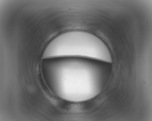 X0000083020115200702020951
