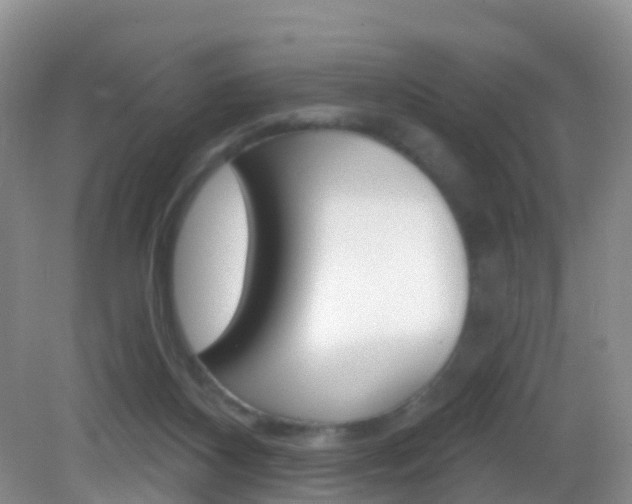 X0000083020116200702020951