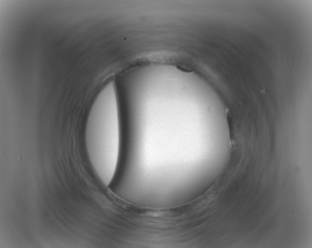 X0000083020117200702020951