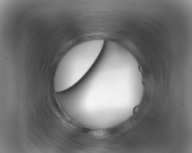 X0000083020118200702020951