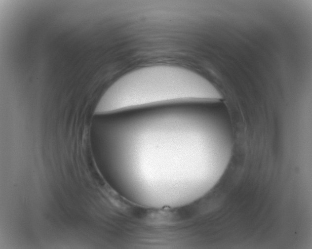 X0000083020125200702020951