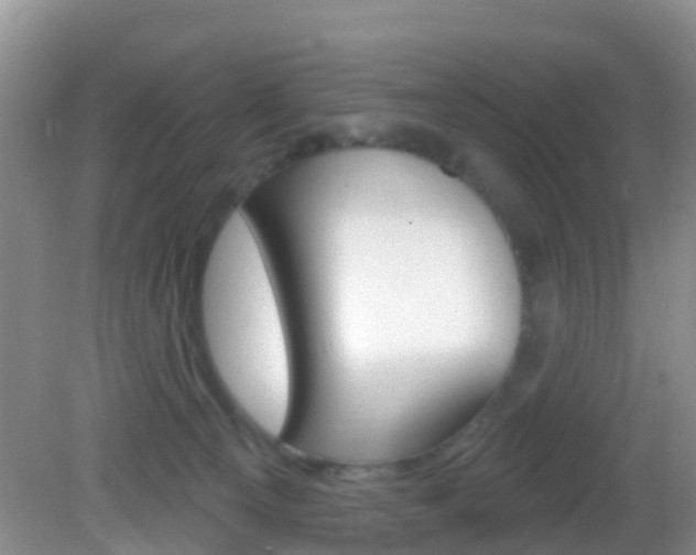 X0000083020129200702020951