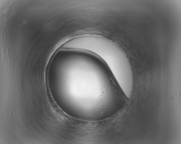 X0000083020148200702020950