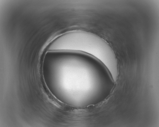X0000083020150200702020950