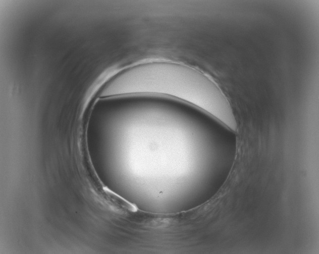 X0000083020152200702020950
