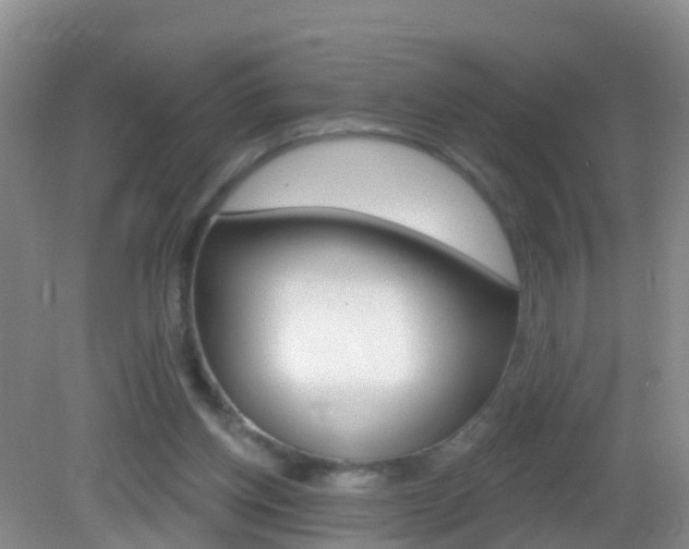 X0000083020158200702020950
