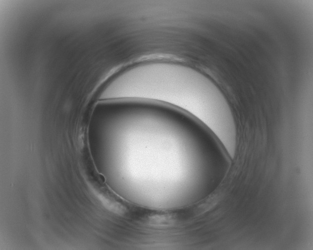 X0000083020160200702020950