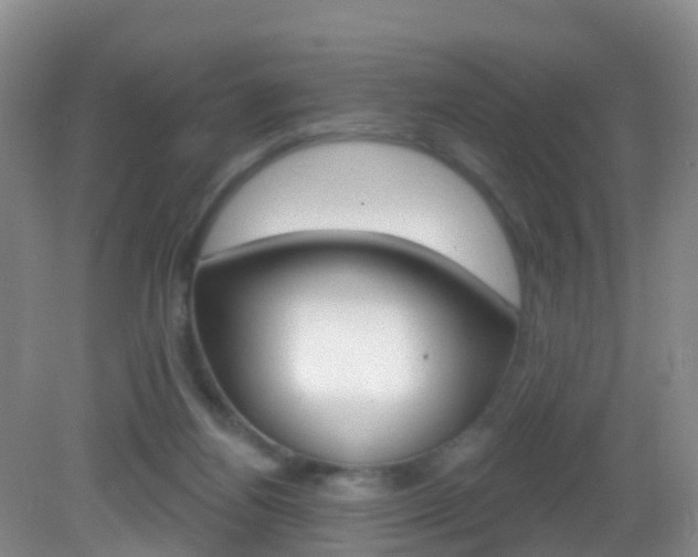 X0000083020164200702020950