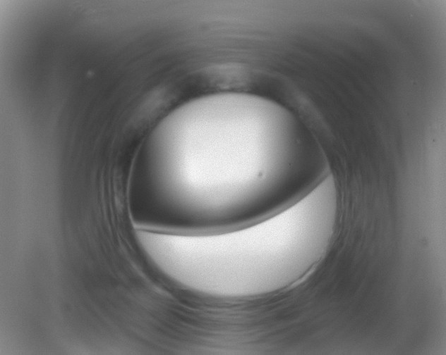X0000083020170200702020950