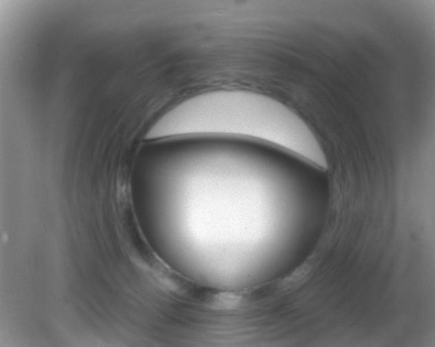 X0000083020176200702020951