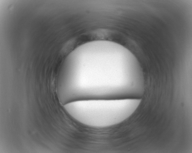 X0000083020177200702020951