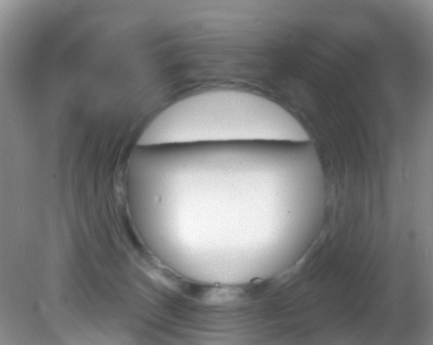 X0000083020179200702020951