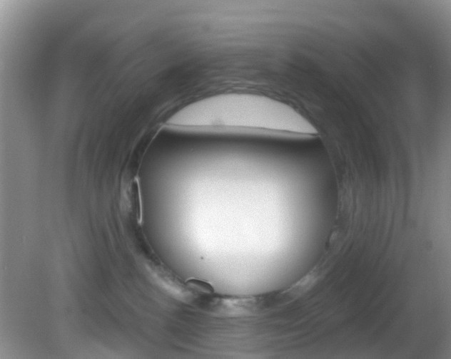 X0000083020188200702020951