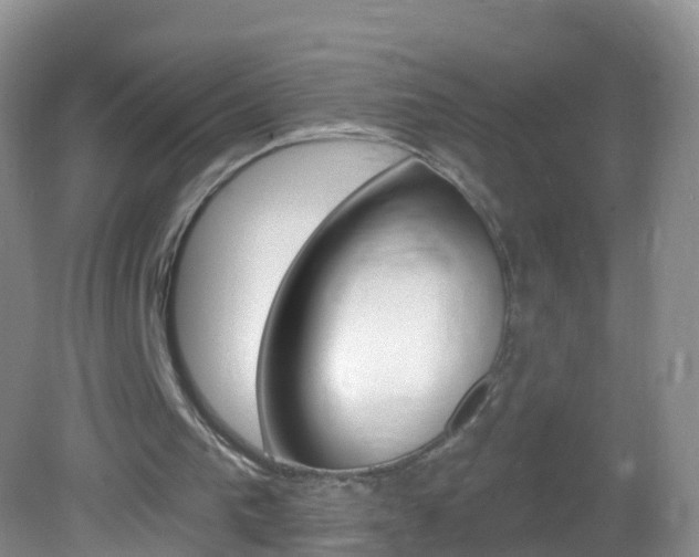 X0000083020193200702020950