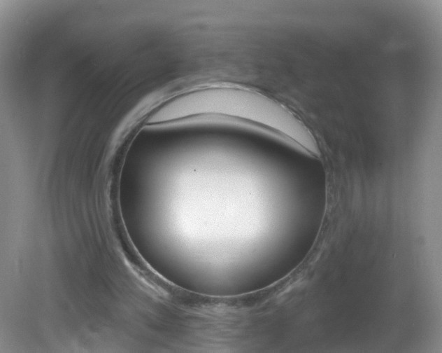 X0000083020197200702020950