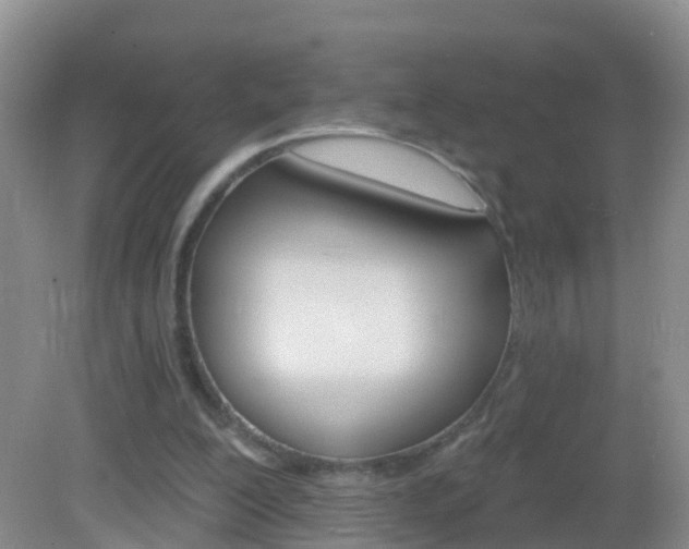 X0000083020200200702020950