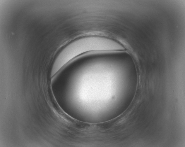X0000083020201200702020950