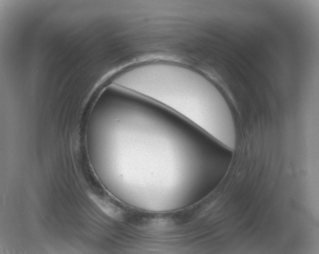 X0000083020204200702020950