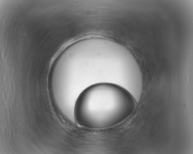 X0000083020244200702020948