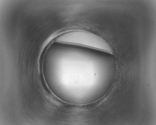 X0000083020246200702020948