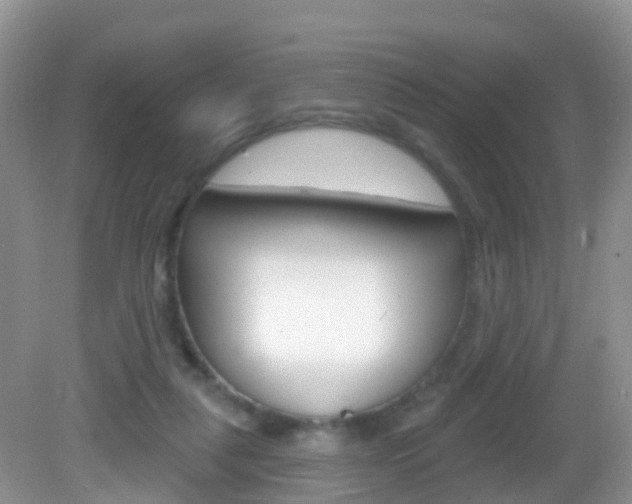 X0000083020259200702020949