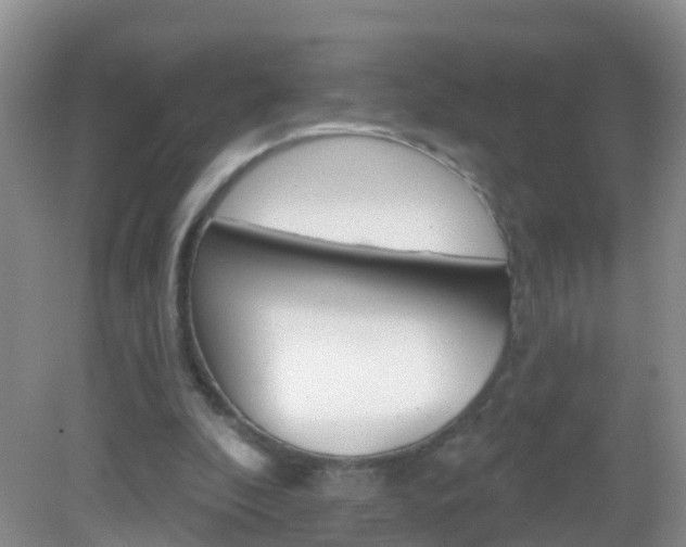 X0000083020296200702020948
