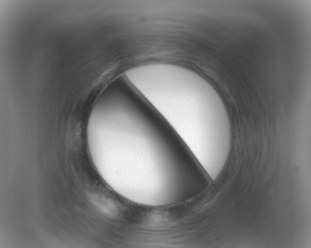 X0000083020308200702020948