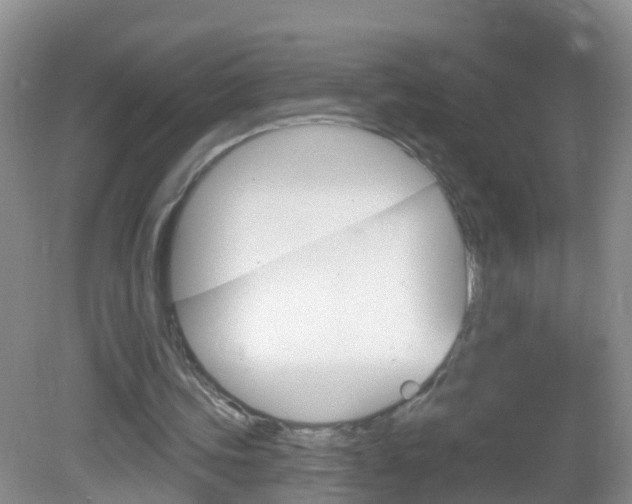 X0000083020339200702020947