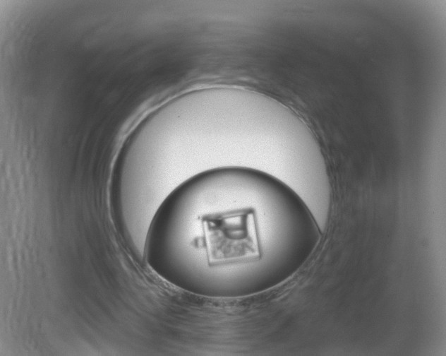 X0000083020340200702020947