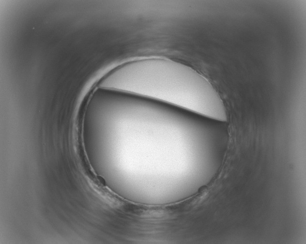 X0000083020342200702020947
