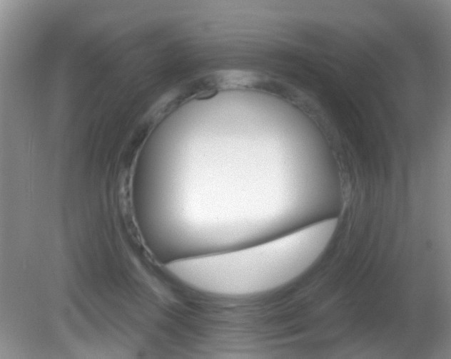 X0000083020360200702020947