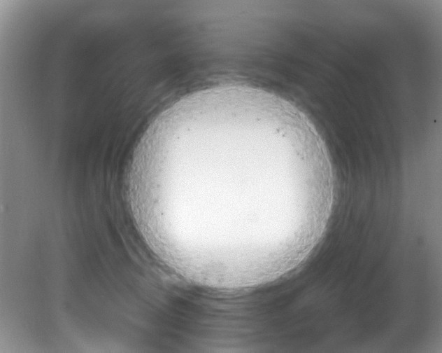 X0000083020370200702020947