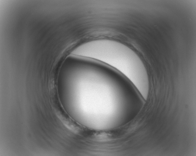 X0000083020407200702020946