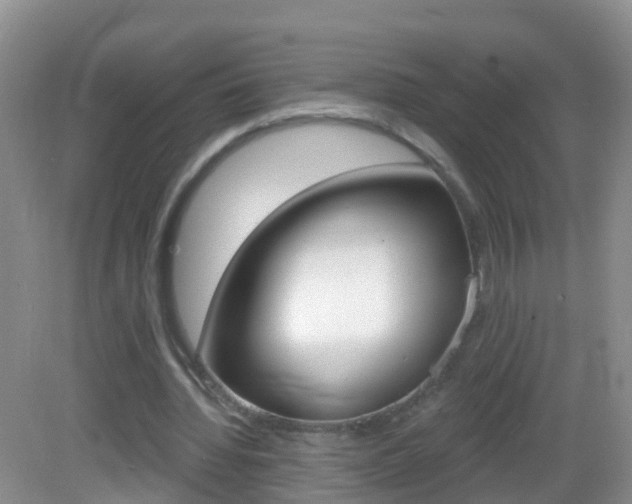 X0000083020436200702020945