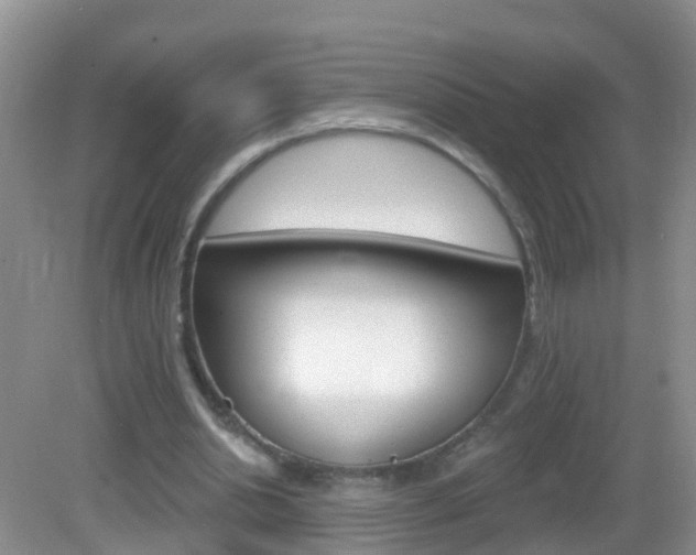 X0000083020438200702020945