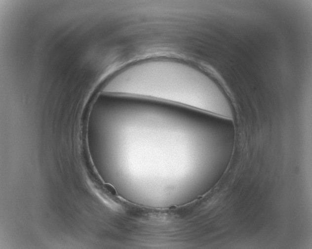 X0000083020439200702020945