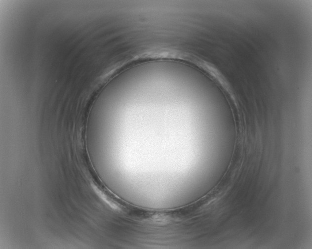 X0000083020441200702020945