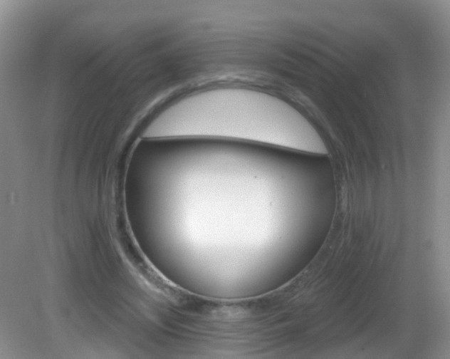X0000083020444200702020945