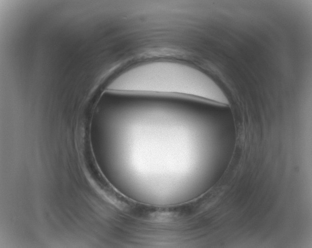 X0000083020448200702020945