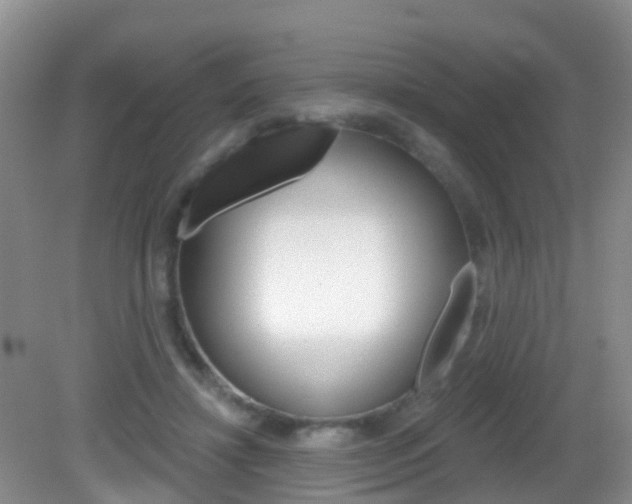 X0000083020452200702020945