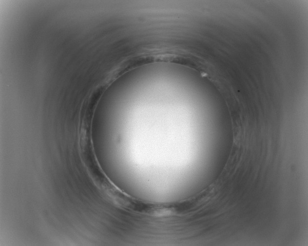 X0000083020456200702020946