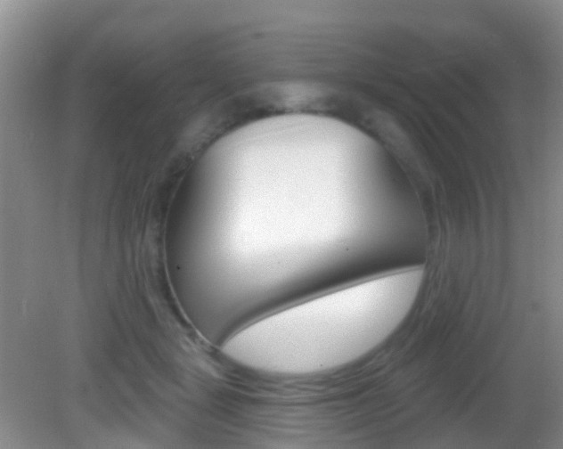 X0000083020461200702020946