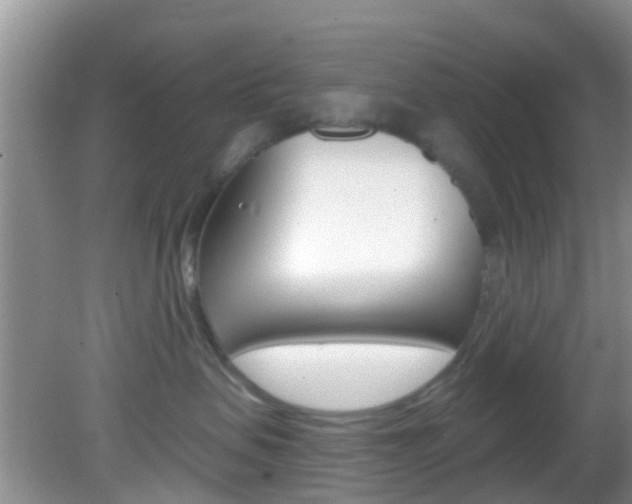X0000083020479200702020946