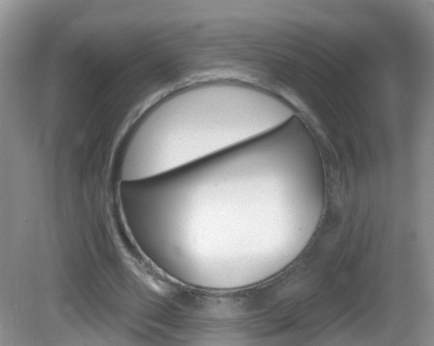 X0000083020486200702020945